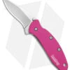 Kershaw Chive Assisted Opening Knife Pink (1.94" Bead Blast) 1600PINK -Kershaw Kershaw Chive Assited Opening Knife Pink 1in 94cm Beadblast 1600 Pink BHQ 2218 td
