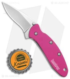 Kershaw Chive Assisted Opening Knife Pink (1.94" Bead Blast) 1600PINK -Kershaw Kershaw Chive Assited Opening Knife Pink 1in 94cm Beadblast 1600 Pink BHQ 2218 td size
