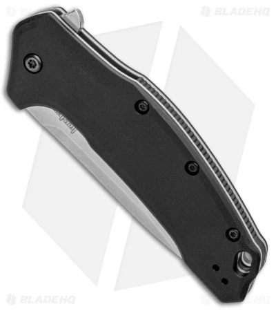 Kershaw Link Drop Point Knife Black (3.25" M390 Stonewash) 1776BLK 4 Kershaw Link Drop Point Knife Black (3.25" M390 Stonewash) 1776BLK - Image 2