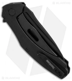 Kershaw Natrix Sub-Frame Lock Knife Black G-10 (3.25" Black) 7007BLK -Kershaw Kershaw Natrix Black G10 black BHQ 80569 er side