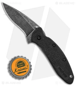 Kershaw Scallion Assisted Opening Knife Black (2.25" Blackwash) 9 Kershaw Scallion Assisted Opening Knife Black (2.25" Blackwash) -Kershaw Kershaw Scallion LL AO Blackwash BHQ 154169 td size