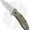Kershaw Scallion Assisted Opening Knife Olive Green (2.25" Bead Blast) 1620OL 1 Kershaw Scallion Assisted Opening Knife Olive Green (2.25" Bead Blast) 1620OL -Kershaw Kershaw Scallion Olive Green 1620OL BHQ 14805 jr 2