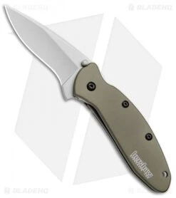 Kershaw Scallion Assisted Opening Knife Olive Green (2.25" Bead Blast) 1620OL