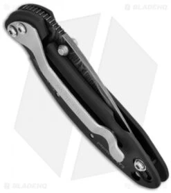 Kershaw Chive Assisted Opening Knife Black (1.94" Damascus) 1600DAMBK 7 Kershaw Chive Assisted Opening Knife Black (1.94" Damascus) 1600DAMBK -Kershaw kershaw black damascus plain 1600damckt chive side