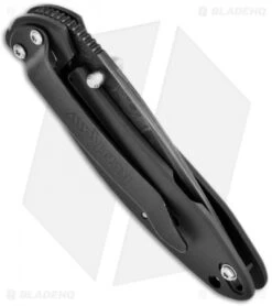 Kershaw Scallion Assisted Opening Knife Black (2.25" Damascus) 1620DAMBK -Kershaw kershaw black damascus plain 1620damckt schallion side