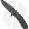 Kershaw Cryo II Assisted Opening Knife (3.25" BlackWash) 1556BW -Kershaw kershaw cyro 2 blackwash 1556bw