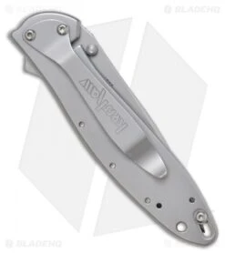 Kershaw Leek Assisted Opening Knife Stainless Steel (3" Bead Blast) 1660 -Kershaw kershaw leek 1660 new BHQ 0143 jr side