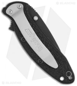 Kershaw Scallion Assisted Opening Knife Black GFN (2.25" Black) 1620BLK -Kershaw kershaw scallion 1620 blk back bhq 6773 jr